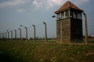 Auschwitz 7